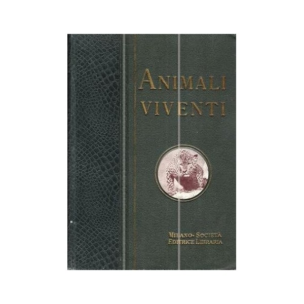 L00012513