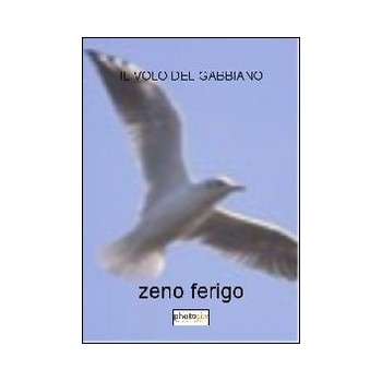 9788866824374